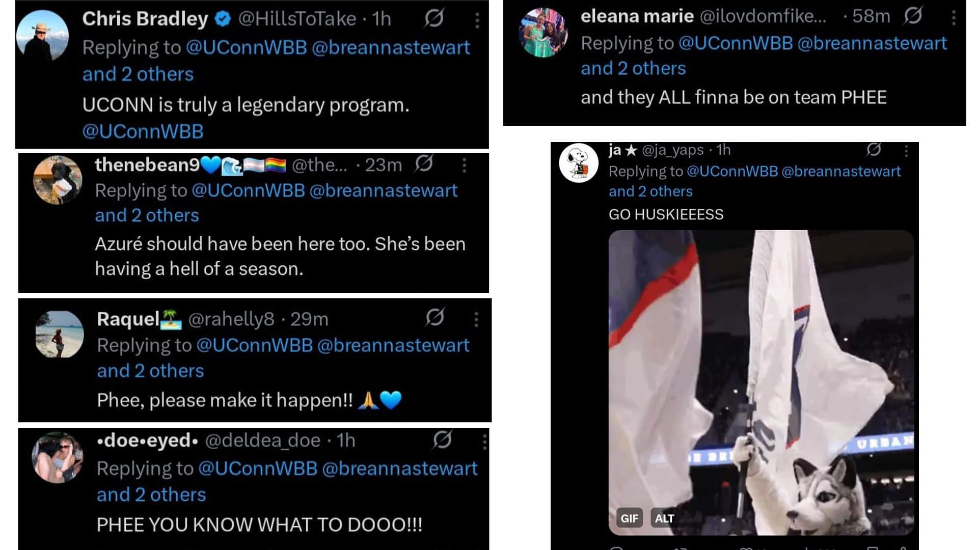 Fans comment on former UConn players making it to the WNBA All-Star roster